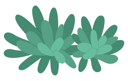 Vector green sea anemone icon. Under the sea illustration with cute actinia seaweeds. ocean plant clipart. Cartoon underwater or marine clip art for children isolated on white backgroundのイラスト素材