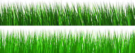 Green grass collection backgroundの写真素材