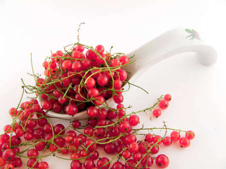 currant on the spoon green and whiteの写真素材