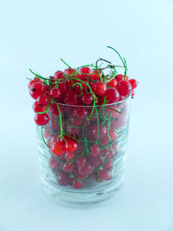 currant in the glass beaker and whiteの写真素材