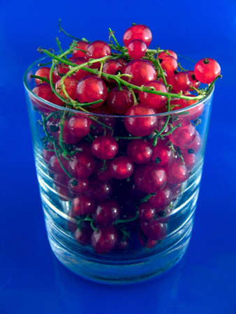 currant in the glass beaker and whiteの写真素材