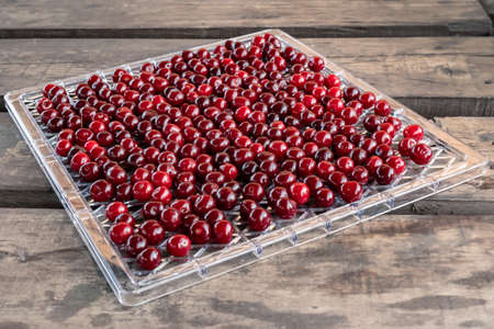 Ripe, fresh red cherries are laid out on a rectangular drying and dehydration tray on a rough wooden...