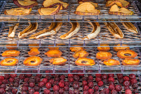 Dried fruits-apples, bananas, apricots and cherries on plastic pallets inside a home electric...