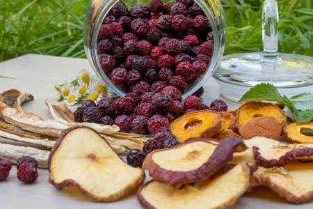 Sliced dried dehydrated apples, apricots and bananas, dried cherries in a glass jar, mint leaves on a light table. The concept of home preparation of dried fruits in a dehydrator.の写真素材