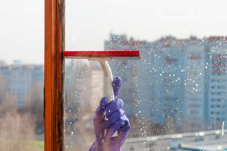 A woman's hand, wearing a blue protective glove, cleans the soap suds from the window pane with a scraper.の写真素材