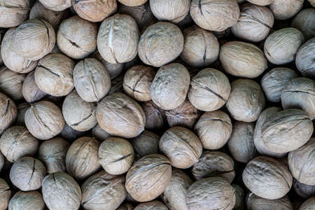 A pile of walnuts, a close-up walnut counter in a farmer's market. Copy space.の写真素材