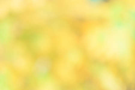 Defocused image of autumn leaves on a sunny day, blurry background. No people, close up, copy space,...
