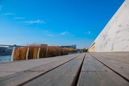 Wooden flooring and fencing of the embankment of the city lake, near the shore of a thicket of reedsの写真素材