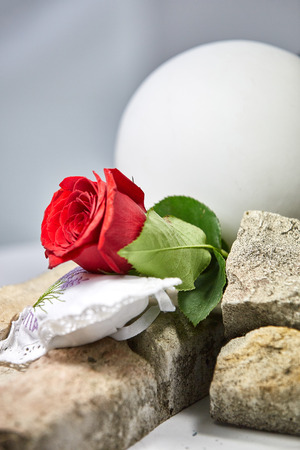 rose on a stone in front of a plaster figureの写真素材