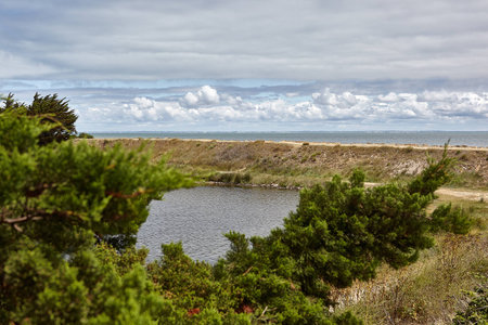 July 2010, Noirmoutier island depertamente Vendee, France. VIEW OF RESERVE OF BIOLOGICAL DEPARTEMENTALE NALLIERS - MOUZEUIL SAINT MARTIN - NALLIERSの写真素材