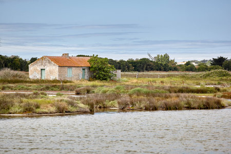 July 2010, Noirmoutier island depertamente Vendee, France. VIEW OF RESERVE OF BIOLOGICAL DEPARTEMENTALE NALLIERS - MOUZEUIL SAINT MARTIN - NALLIERSの写真素材