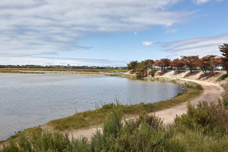 July 2010, Noirmoutier island depertamente Vendee, France. VIEW OF RESERVE OF BIOLOGICAL DEPARTEMENTALE NALLIERS - MOUZEUIL SAINT MARTIN - NALLIERSの写真素材