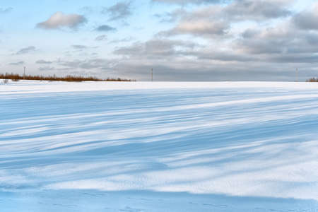 Snow-covered field with long shadows of trees from the low winter sun.