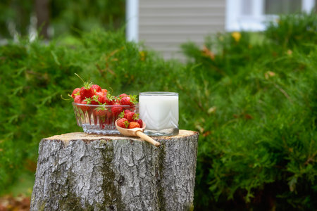 Stump with ripe strawberries in the garden near the country house.の写真素材