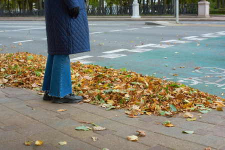 A pile of fallen leaves on the sidewalk in front of a pedestrian crossing. Autumn dry yellow leaves...