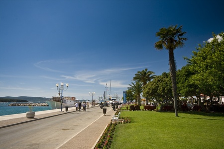 Palm trees on Biograd na moru waterfront with the green grassのeditorial素材