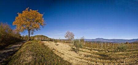 Pican countryside panoramaの写真素材