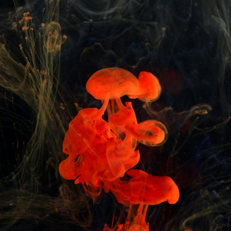 Red ink in the waterの写真素材