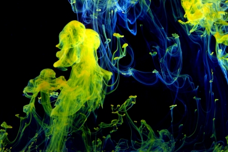 Yellow and blue ink in the waterの写真素材