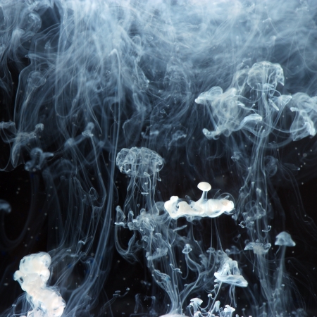 White milk in the waterの写真素材