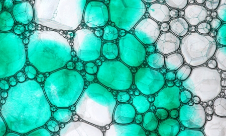 Soap bubbles on the green  water
