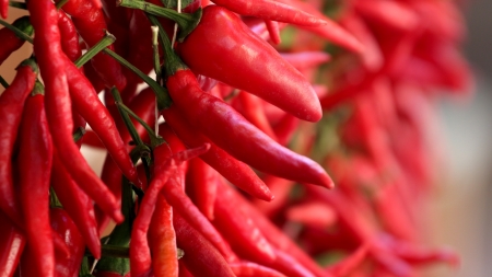 Red peppers on the string