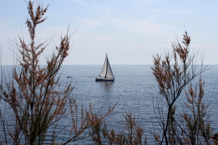 White sailboat on the blue sea 