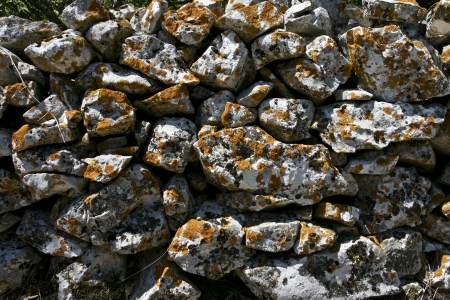 Lichen on a stonewallの写真素材