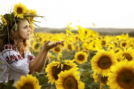 beautiful girl, a field of sunflowers, Ukrainian style embroidery の写真素材