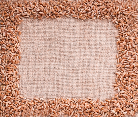 Frame for inscriptions laid beans on burlap backgroundの写真素材