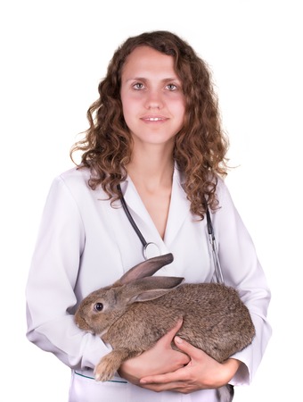 A portrait of a female vet holding a rabbitの写真素材