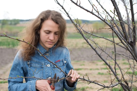 Happy gardener woman using pruning scissors in orchard garden. Pretty female worker portrait with...