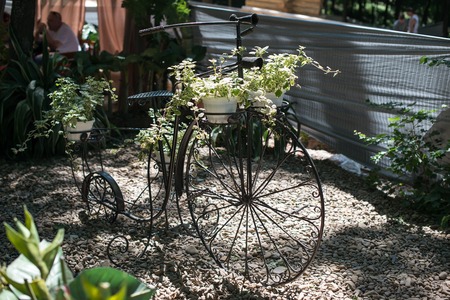 Vintage bicycle at forest path. summer sunny dayの写真素材