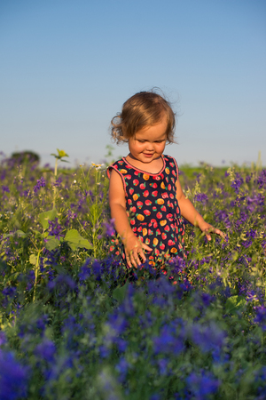 Little girl in flower fieldsの写真素材