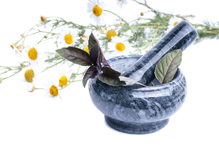 chamomile flowers in a mortar isolated on whiteの写真素材