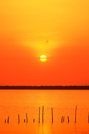 Sundownの写真素材