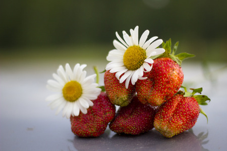 Appetizing strawberry in the pile with daisiesの写真素材