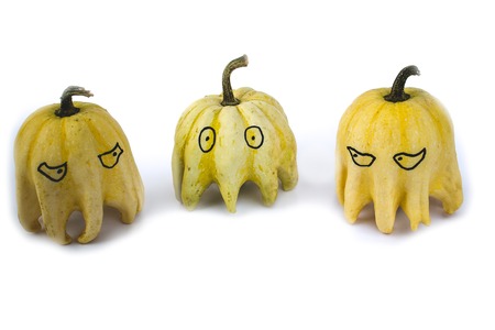 Family of decorative pumpkins on the isolated white backgroundの写真素材