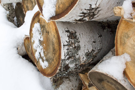 Birch woodpile on snow. Siberiaの写真素材