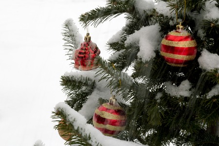 New Year's pine with spheres during a snowfallの写真素材