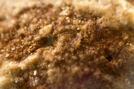 Abstract background a surface of fresh house tasty spice-cakeの写真素材