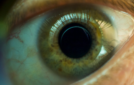 Human eye of green colour close upの写真素材
