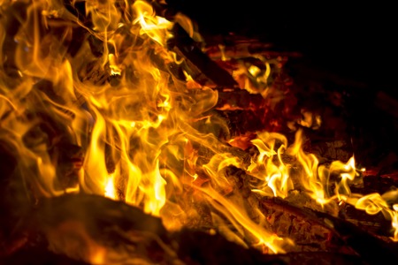Fire wood in a flame, burning in the furnace on complete powerの写真素材