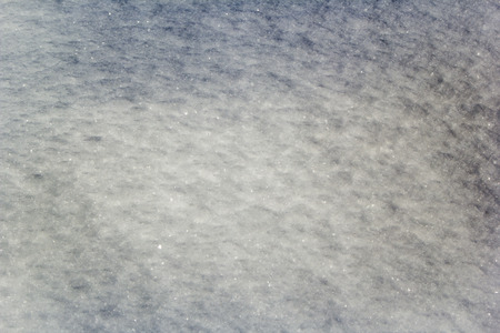 Sparkling snow in the Siberian winterの写真素材