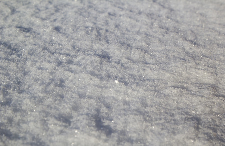 Sparkling snow in the Siberian winterの写真素材