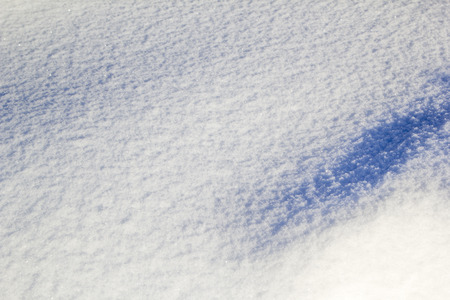 Sparkling snow in the Siberian winterの写真素材