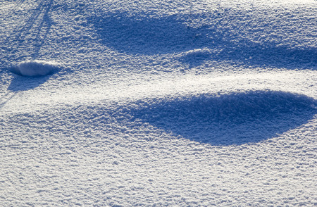 Sparkling snow in the Siberian winterの写真素材