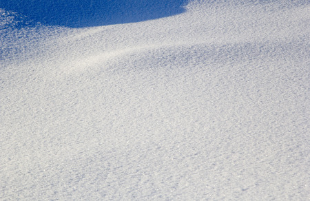 Sparkling snow in the Siberian winterの写真素材