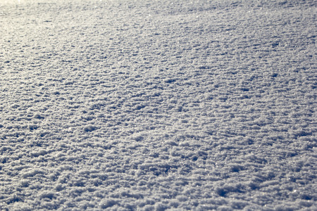 Sparkling snow in the Siberian winterの写真素材