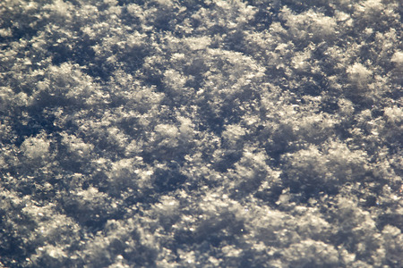 Fluffy soft white Siberian snowの写真素材